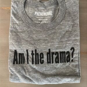Gray Graphic Tee - Am I the Drama?